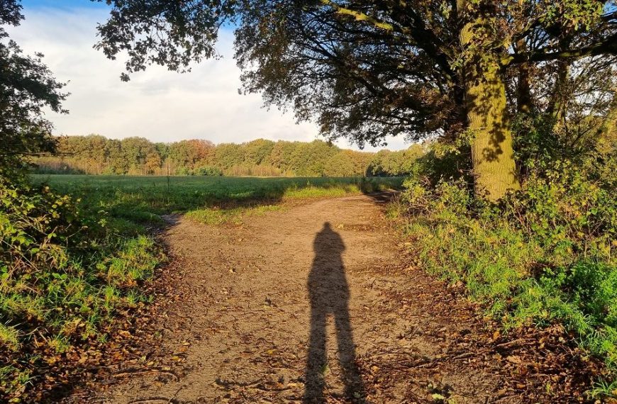 Waarom wandelen we?