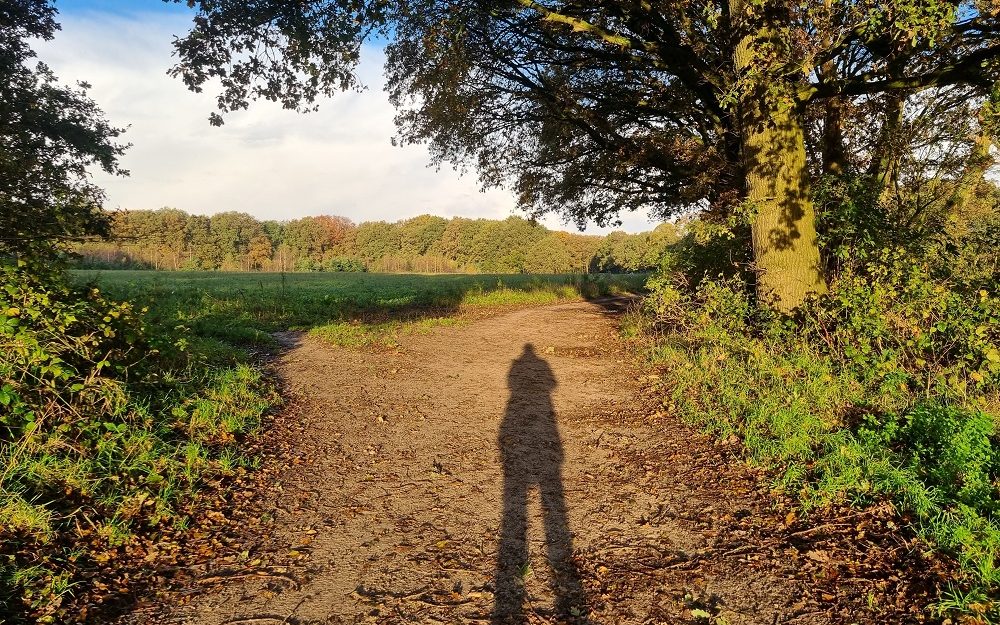 Waarom wandelen we?
