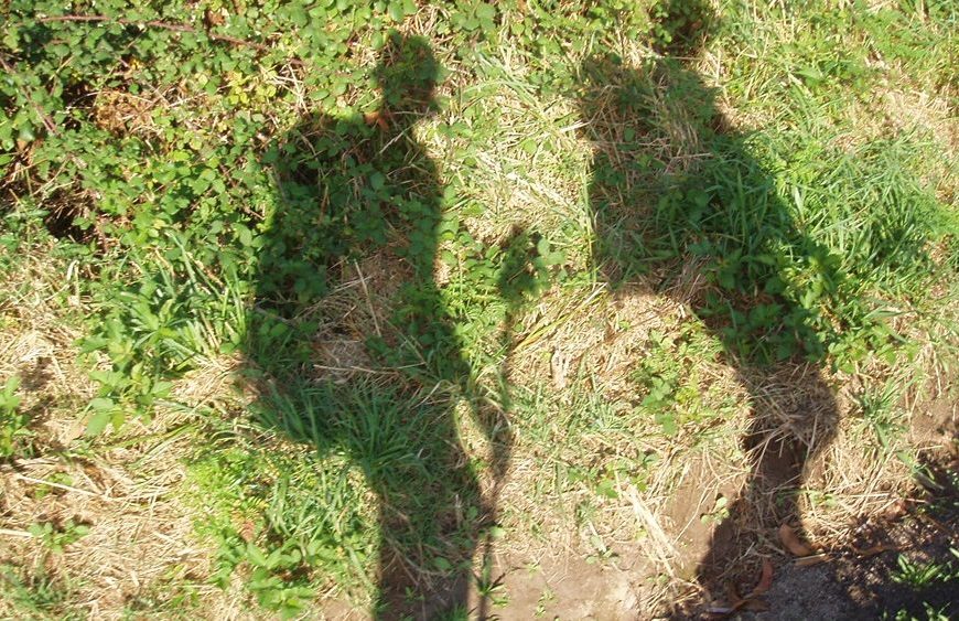 In schaduw schuilt licht